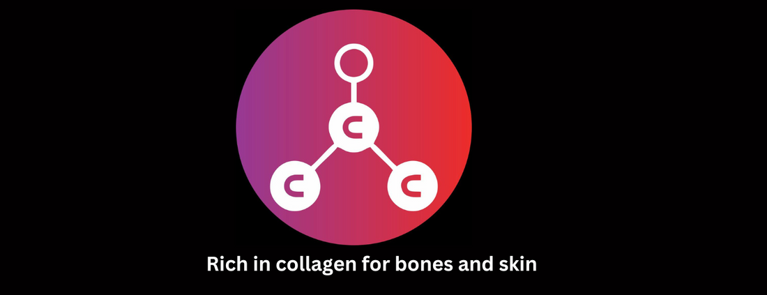Why Collagen is Important for Dogs