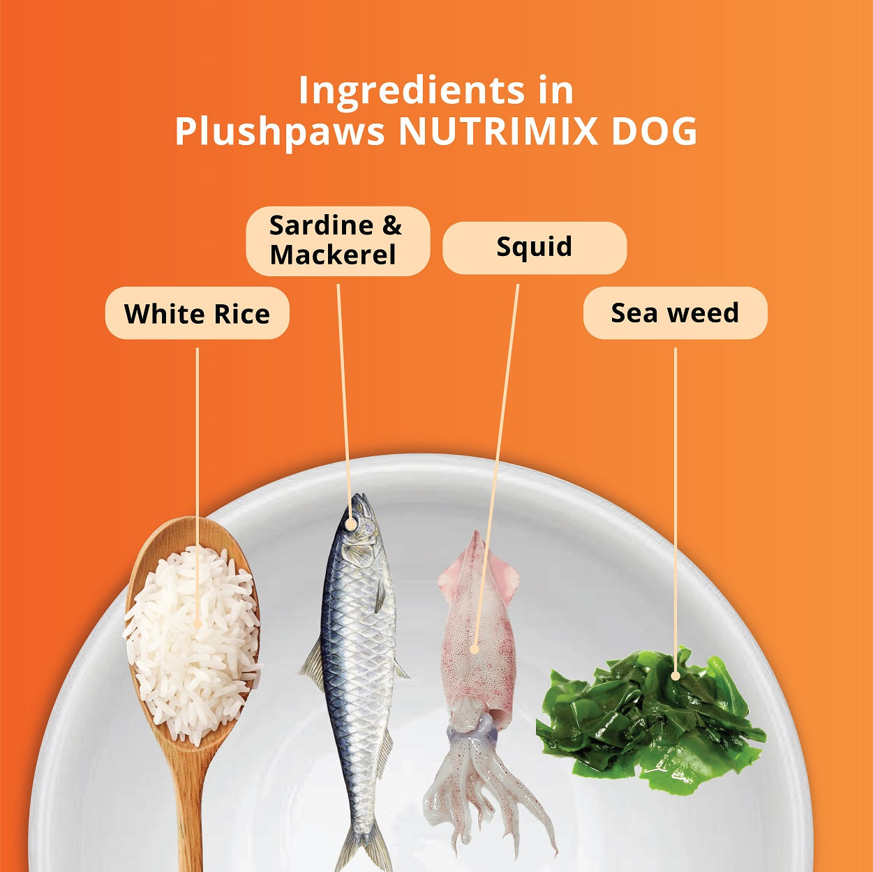 Nutri Mix (Fish & Collagen Meal for Dogs)-100g